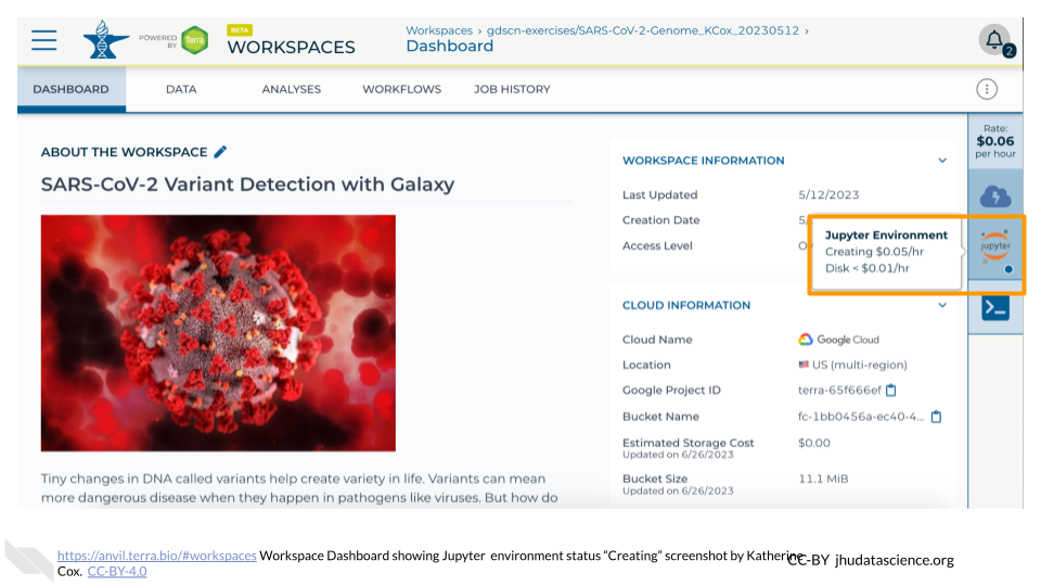Screenshot of a Terra Workspace. The hovertext for the Jupyter icon is highlighted, and indicates that the status of the environment is 'Creating'.