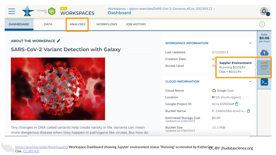 Screenshot of a Terra Workspace. The hovertext for the Jupyter icon is highlighted, and indicates that the status of the environment is 'Running'.  The ANALYSES tab is also highlighted