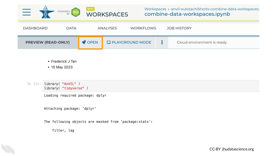 Screenshot of a preview of a Jupyter Notebook in a Terra Workspace.  The 'OPEN' button is highlighted.